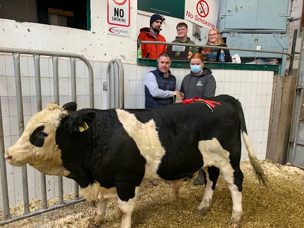 Cork Marts