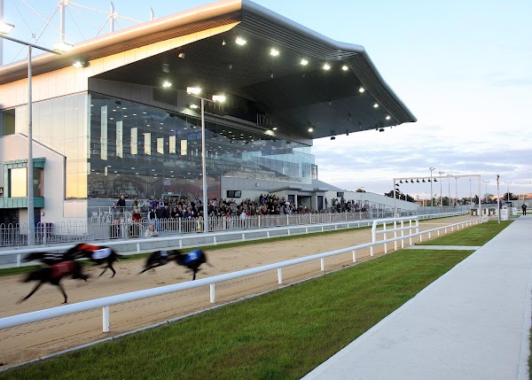 Limerick Greyhound Stadium