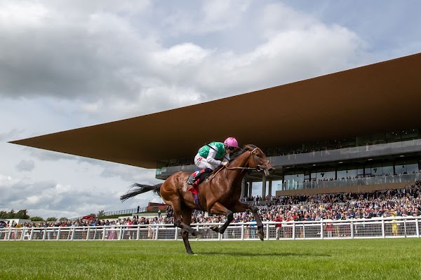 Horse Racecourse