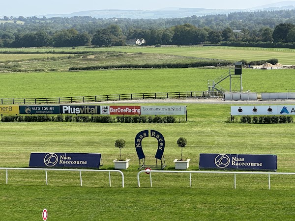 The New Race Stands