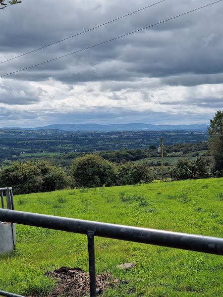 Galtee Escape