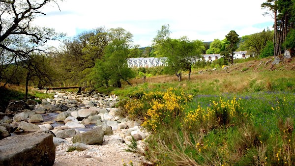 Kippure Estate