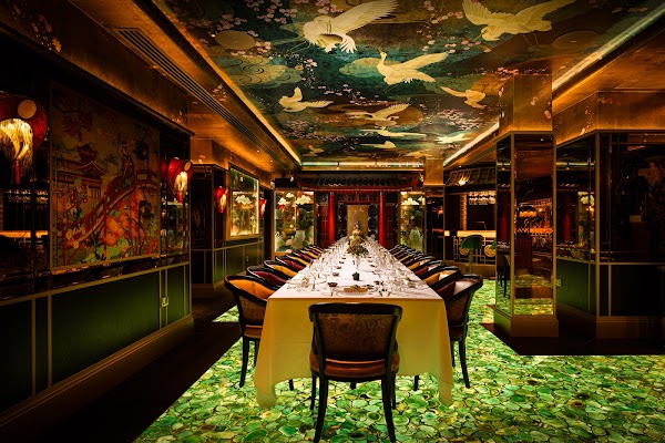 The Ivy Asia