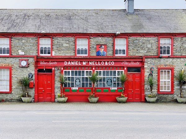 Dan Mcnello's