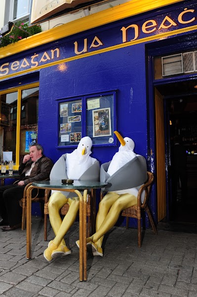 Seaghan Ua Neachtain