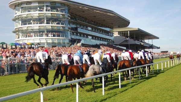 Galway Race Committee