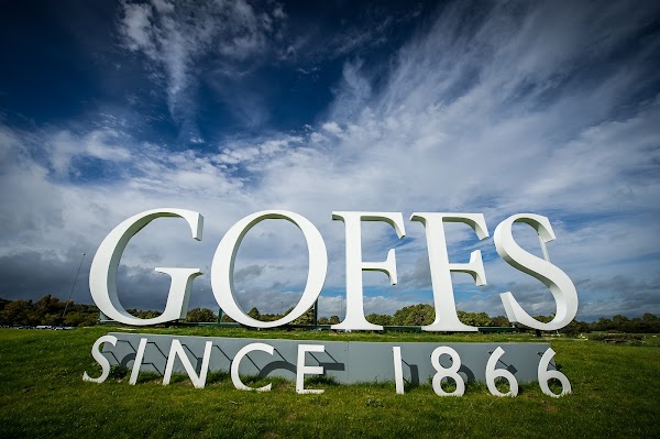 Goffs