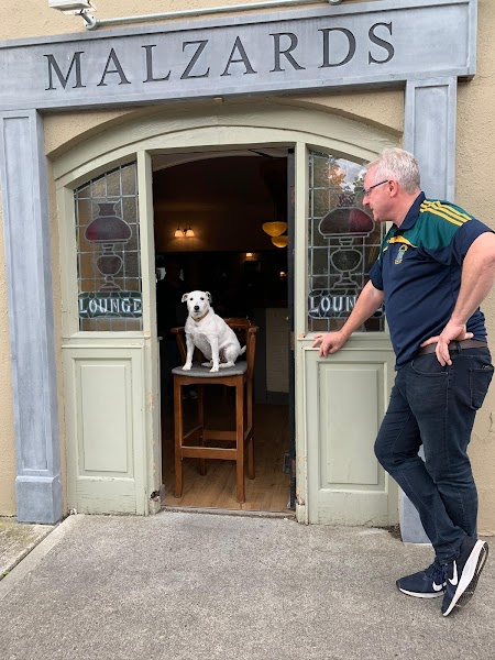 Malzards Pub And Hurling Experience