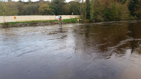 The Silver Weir