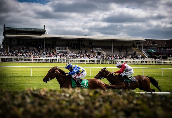 T/a Navan Racecourse / Proudstown Bar & Restaurant