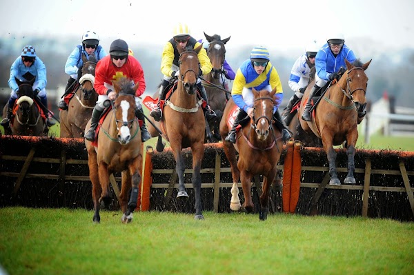 Cork Racecourse (mallow) Ltd