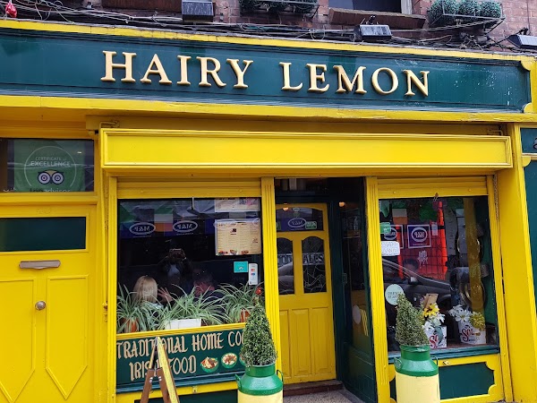 Hairy Lemon