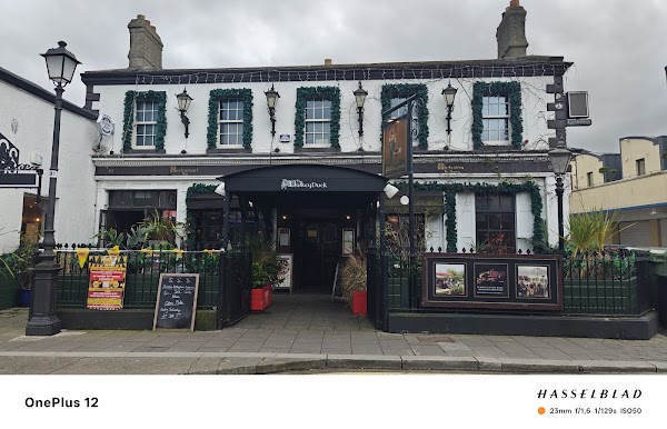 The Dalkey Duck