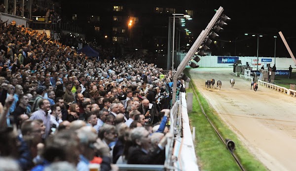 Shelbourne Greyhound Stadium