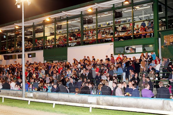 Thurles Greyhound Stadium