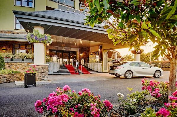 Rose Hotel