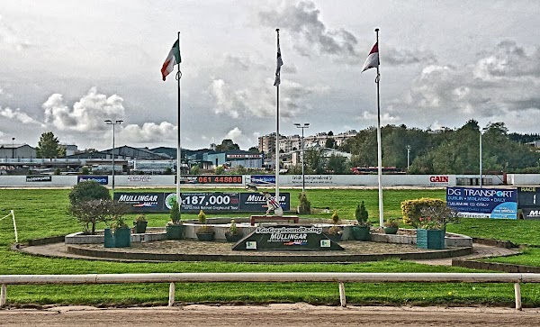 Mullingar Greyhound Racing Co Ltd