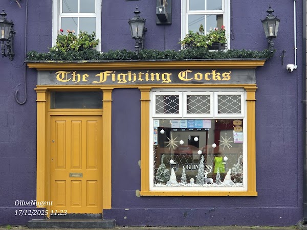 The Fighting Cocks